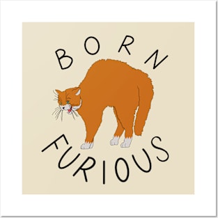 Born Furious Posters and Art